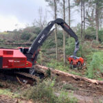 FH317