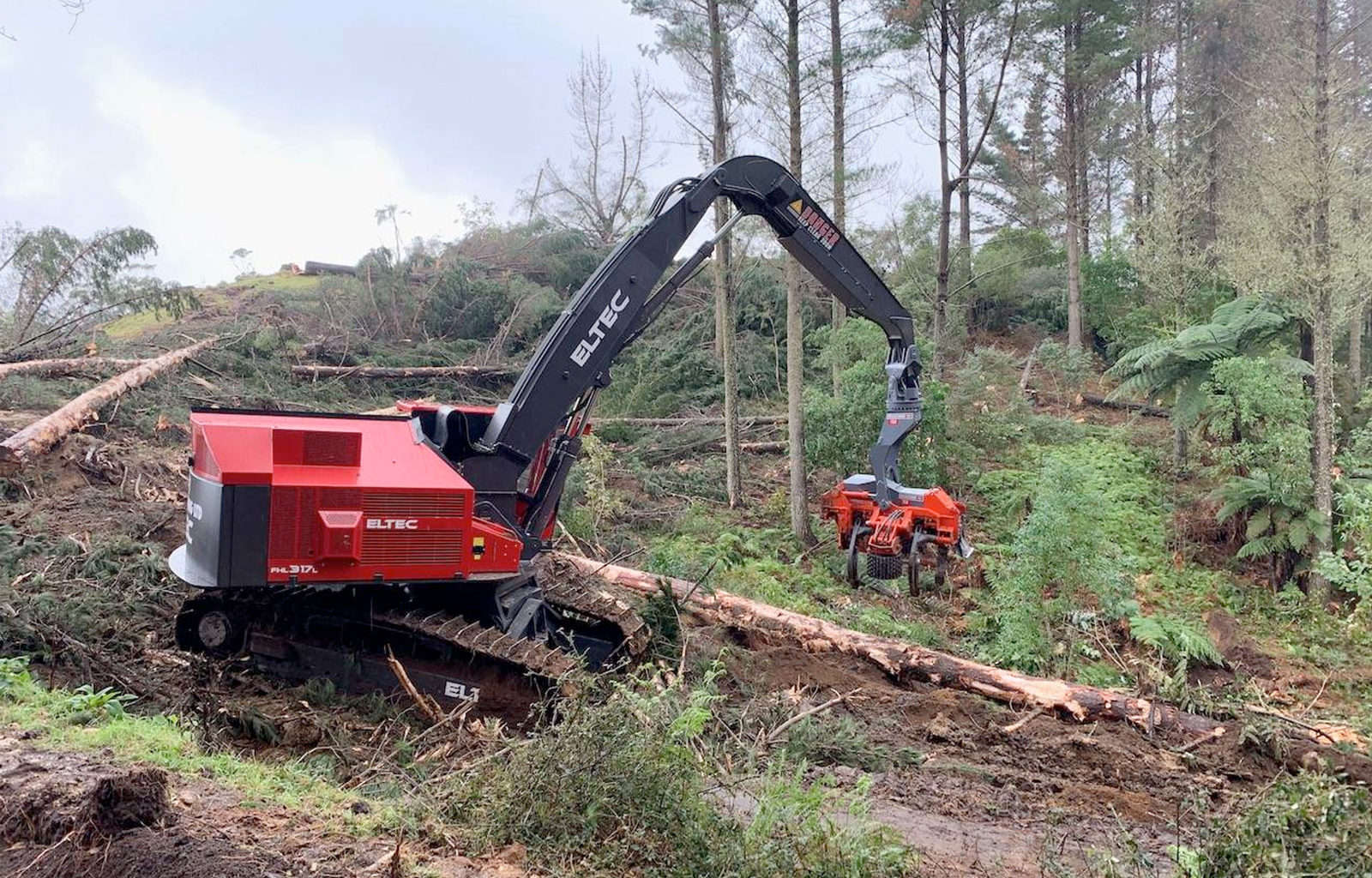 FH317